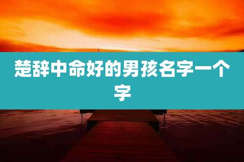 楚辞中命好的男孩名字一个字