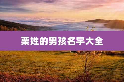 栗姓的男孩名字大全