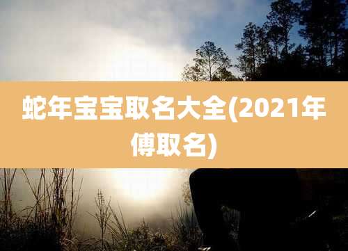 蛇年宝宝取名大全(2021年傅取名)
