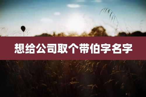 想给公司取个带伯字名字