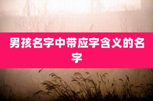 男孩名字中带应字含义的名字