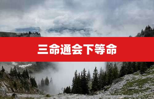 三命通会下等命