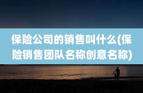 保险公司的销售叫什么(保险销售团队名称创意名称)