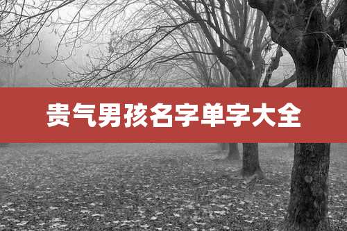 贵气男孩名字单字大全