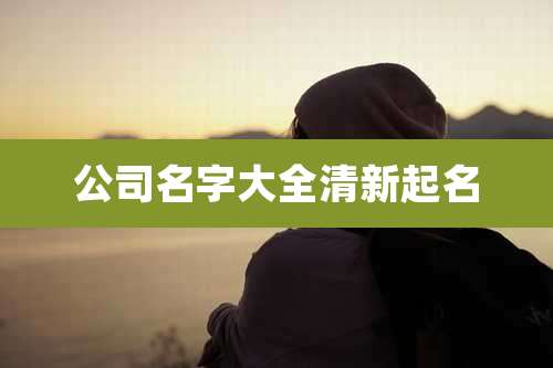 公司名字大全清新起名
