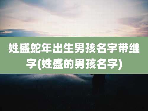 姓盛蛇年出生男孩名字带继字(姓盛的男孩名字)