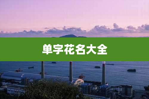 单字花名大全