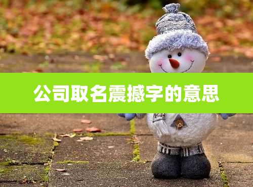 公司取名震撼字的意思