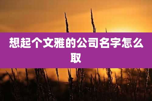 想起个文雅的公司名字怎么取