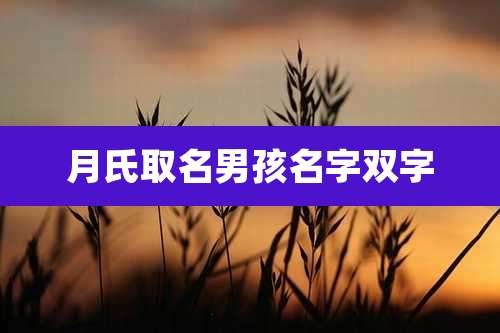 月氏取名男孩名字双字