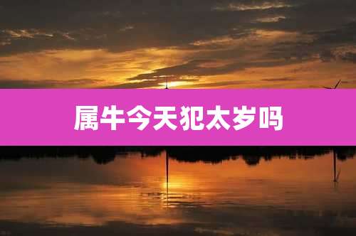 属牛今天犯太岁吗
