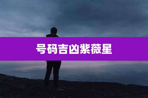 号码吉凶紫薇星