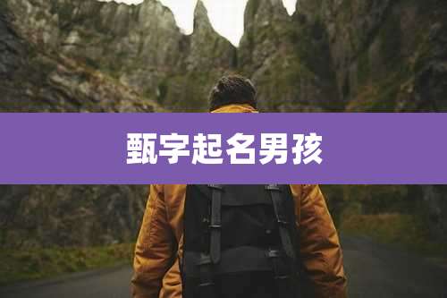 甄字起名男孩
