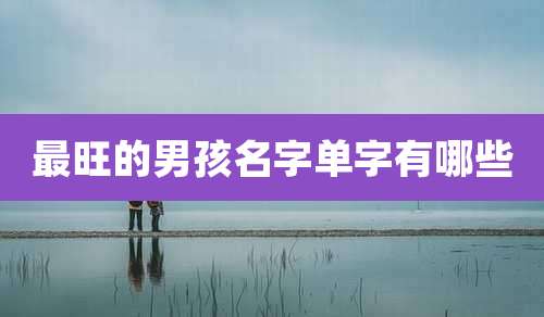 最旺的男孩名字单字有哪些