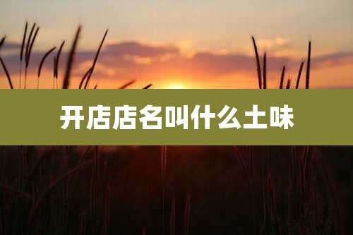 开店店名叫什么土味