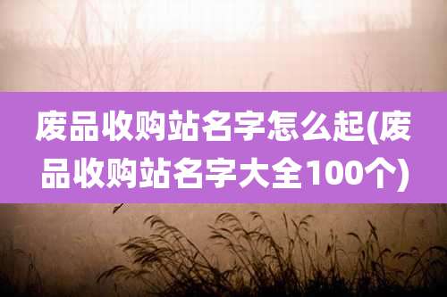 废品收购站名字怎么起(废品收购站名字大全100个)