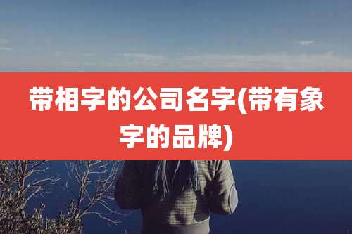 带相字的公司名字(带有象字的品牌)