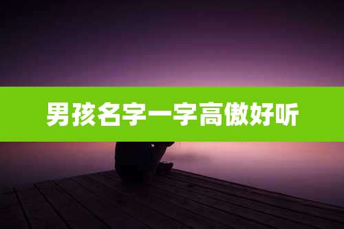 男孩名字一字高傲好听