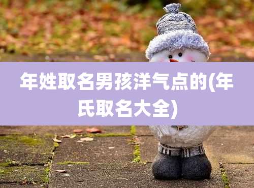 年姓取名男孩洋气点的(年氏取名大全)
