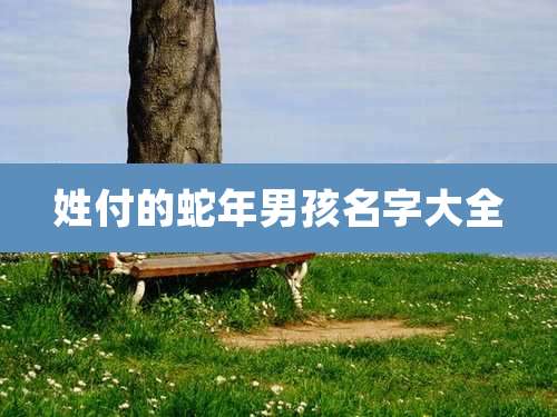 姓付的蛇年男孩名字大全