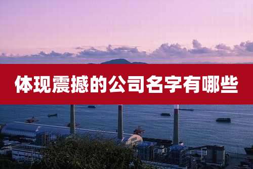 体现震撼的公司名字有哪些