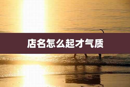 店名怎么起才气质
