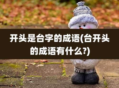 开头是台字的成语(台开头的成语有什么?)