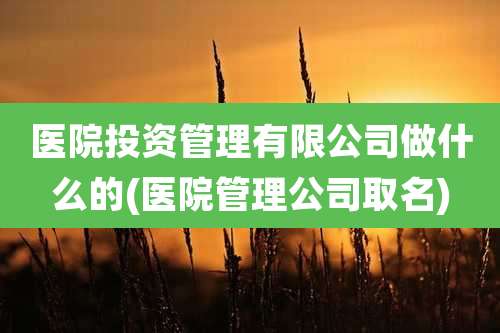 医院投资管理有限公司做什么的(医院管理公司取名)