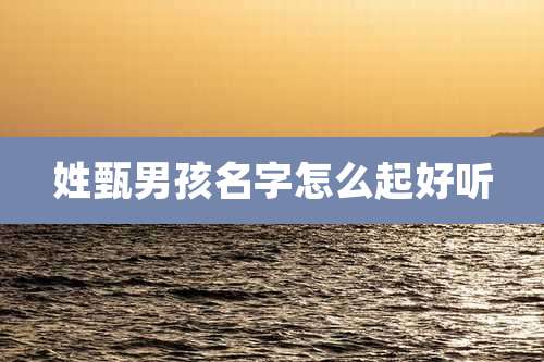 姓甄男孩名字怎么起好听