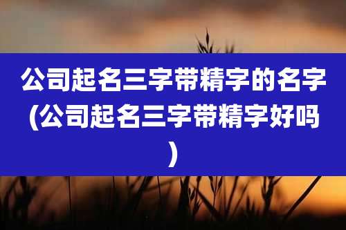 公司起名三字带精字的名字(公司起名三字带精字好吗)
