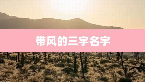 带风的三字名字