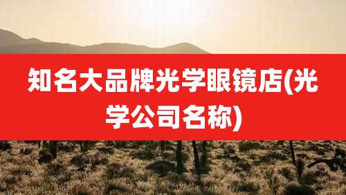 知名大品牌光学眼镜店(光学公司名称)