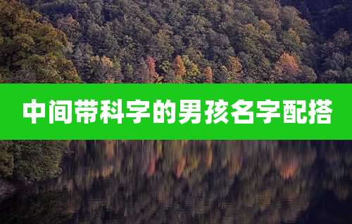 中间带科字的男孩名字配搭