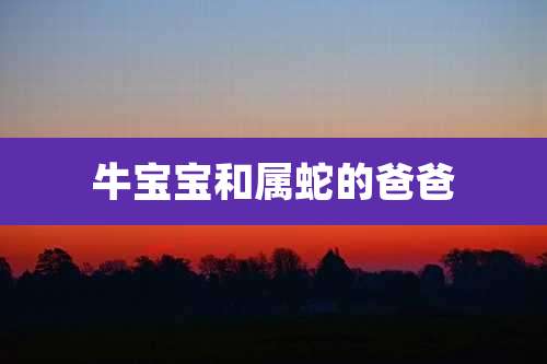 牛宝宝和属蛇的爸爸