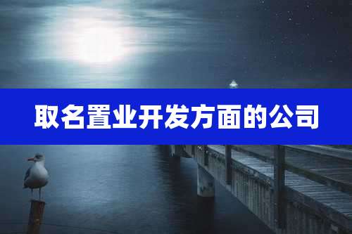 取名置业开发方面的公司