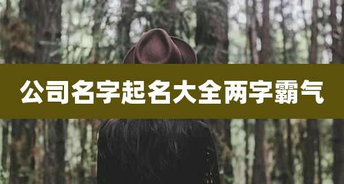 公司名字起名大全两字霸气