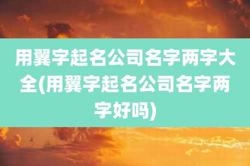 用翼字起名公司名字两字大全(用翼字起名公司名字两字好吗)