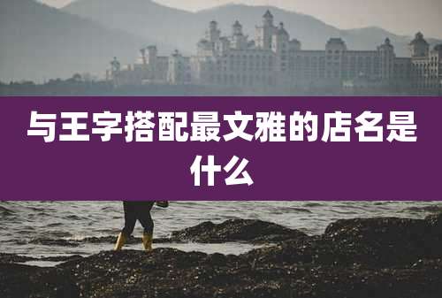 与王字搭配最文雅的店名是什么