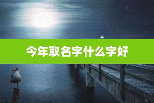 今年取名字什么字好