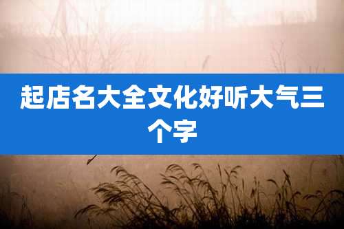 起店名大全文化好听大气三个字