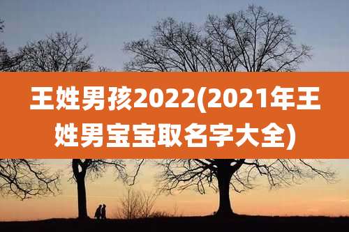 王姓男孩2022(2021年王姓男宝宝取名字大全)