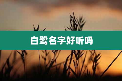 白鹭名字好听吗