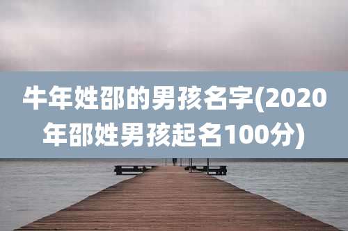 牛年姓邵的男孩名字(2020年邵姓男孩起名100分)