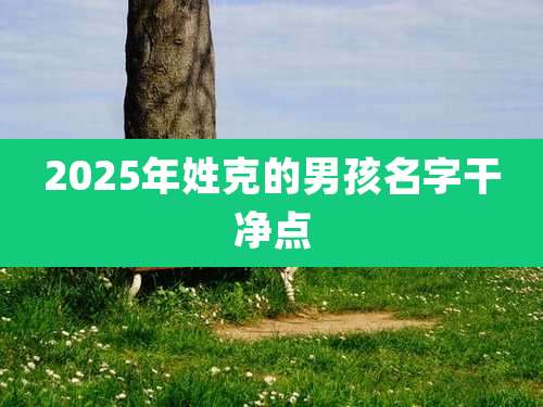 2025年姓克的男孩名字干净点