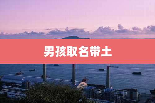 男孩取名带土