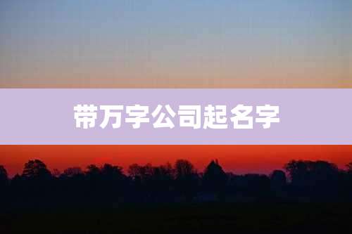 带万字公司起名字