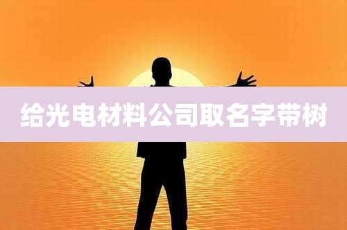 给光电材料公司取名字带树