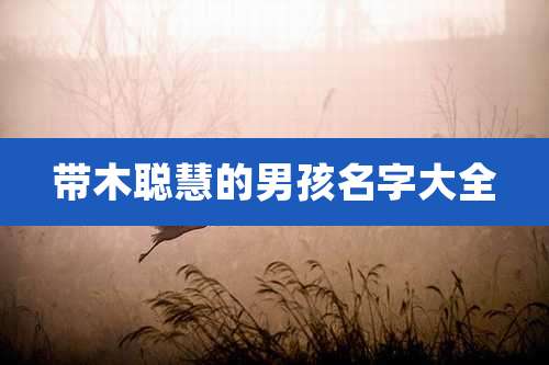 带木聪慧的男孩名字大全