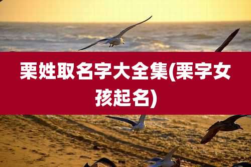 栗姓取名字大全集(栗字女孩起名)