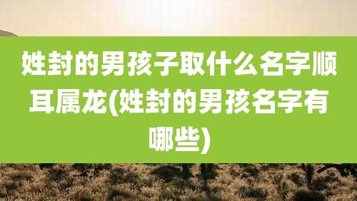 姓封的男孩子取什么名字顺耳属龙(姓封的男孩名字有哪些)